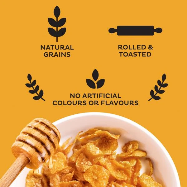 Kellogg's Crunchy Nut Cerealien 2 Kellogg's Crunchy Nut Cerealien – Bild 2