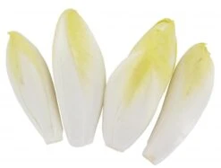 Chicorée 5 Chicorée -Lebensmittel Verkäufe 4507010008 3760095950129 04.jpg