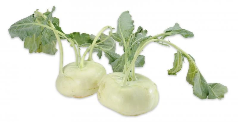 Kohlrabi 2 Kohlrabi – Bild 2