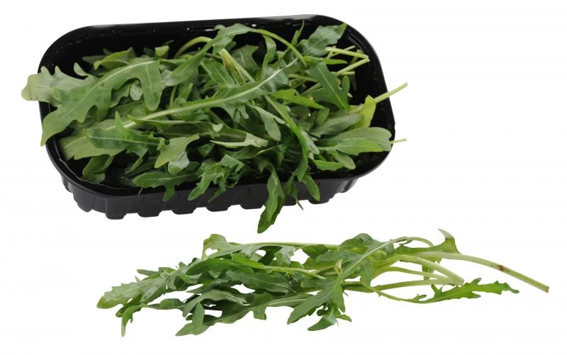 Rucola /Rauke 1 Rucola /Rauke