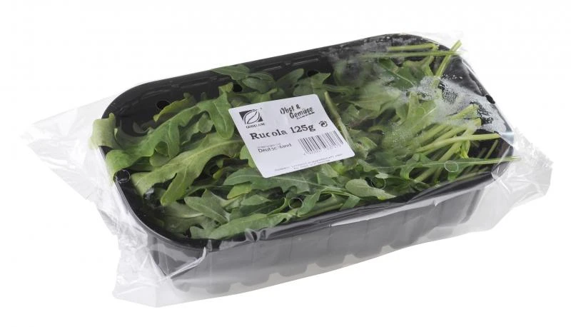 Rucola /Rauke 2 Rucola /Rauke – Bild 2