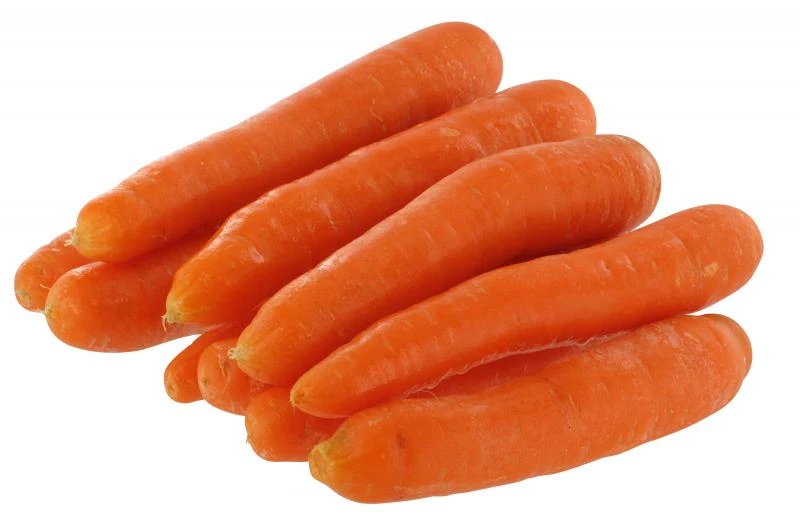 Speisemöhren 1 Speisemöhren