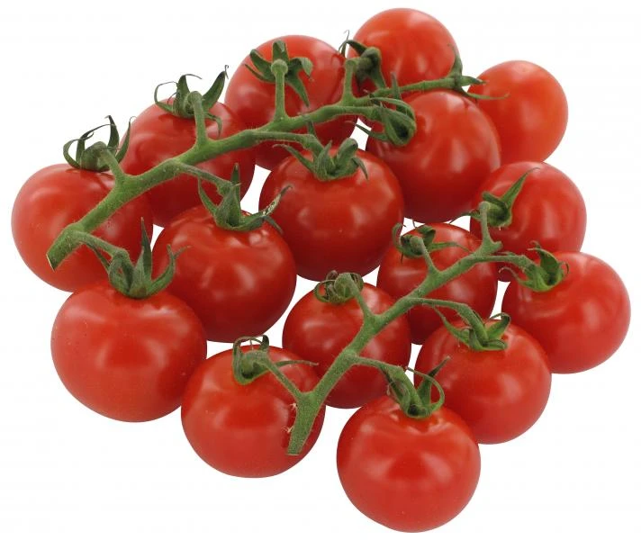 Cocktail-Strauchtomaten 1 Cocktail-Strauchtomaten