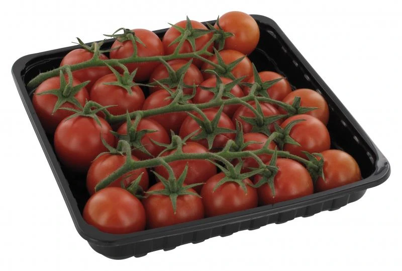 Cocktail-Strauchtomaten 2 Cocktail-Strauchtomaten – Bild 2