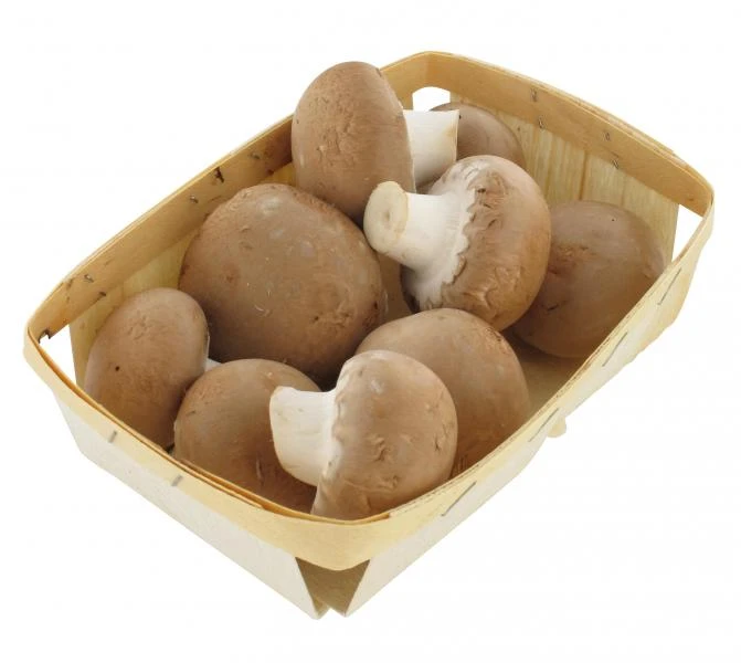 NaturWert Bio Creme Champignons 1 NaturWert Bio Creme Champignons