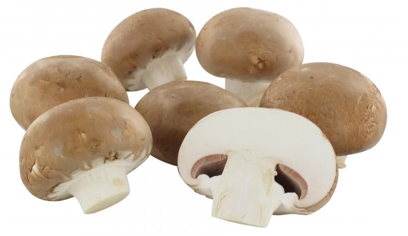 NaturWert Bio Creme Champignons 2 NaturWert Bio Creme Champignons – Bild 2