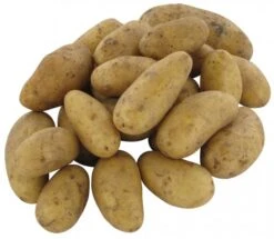 Bio Speisekartoffeln Inova Festkochend