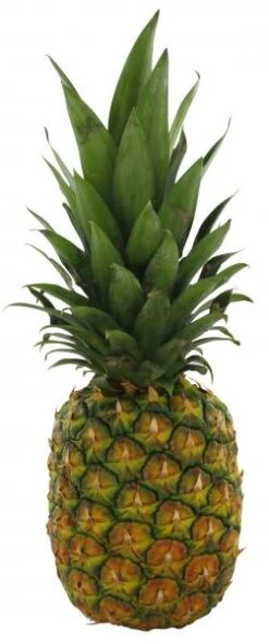 Ananas