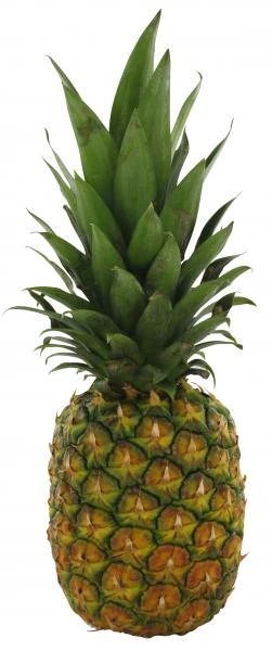 Ananas 1 Ananas