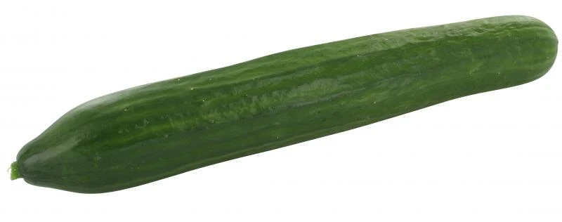 Bio Gurken 1 Bio Gurken