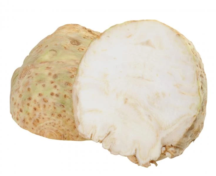 Sellerie 2 Sellerie – Bild 2