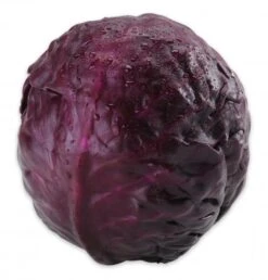 Rotkohl -Lebensmittel Verkäufe 4507010103 2046020003018 02.jpg