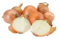 Bio Zwiebeln Im Netz