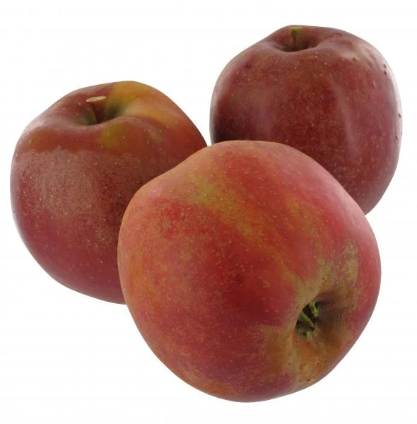 Bio Apfel Natrya 1 Bio Apfel Natrya